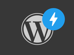 WordPress手机页面加速插件AMP for WordPress